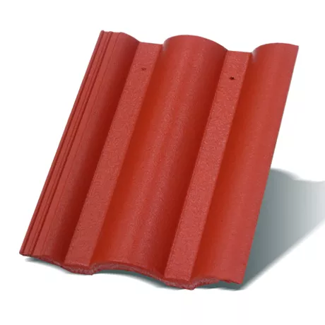 Evo Korall